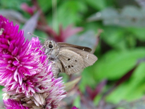 f0083281_2318102.jpg