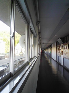 f0115787_3321139.jpg