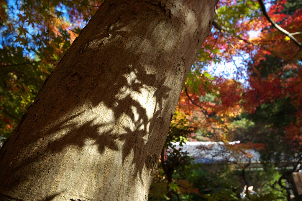a0054691_15185453.jpg