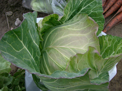 f0070493_17462420.jpg