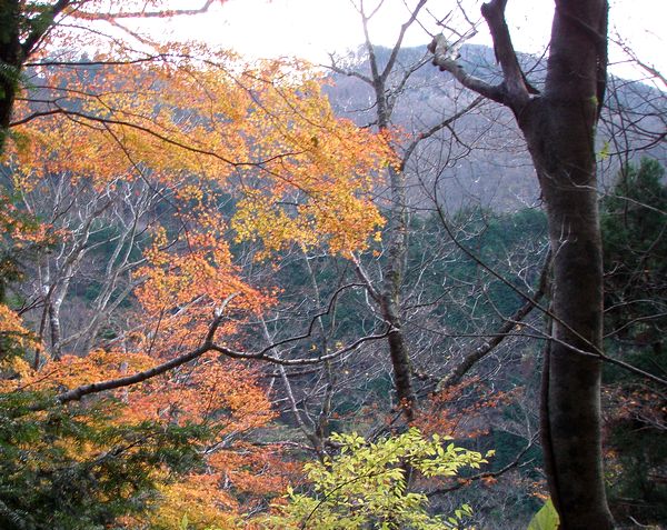 c0073016_1427121.jpg