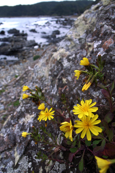 d0090322_0555263.jpg