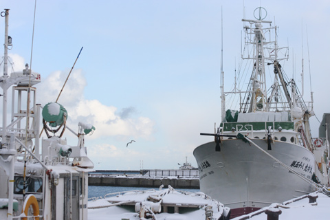 e0001123_2026929.jpg