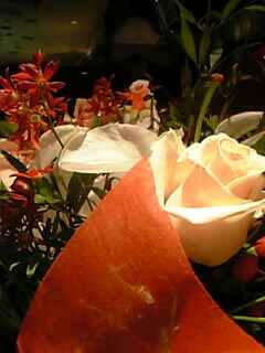 f0084723_0151852.jpg