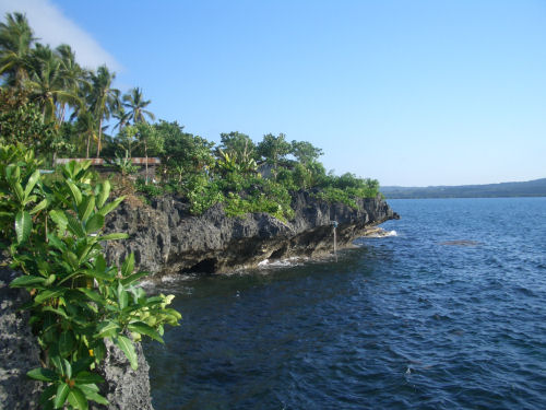b0071426_1125612.jpg
