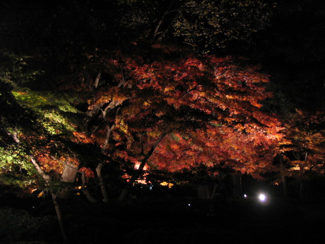 c0086230_2144885.jpg
