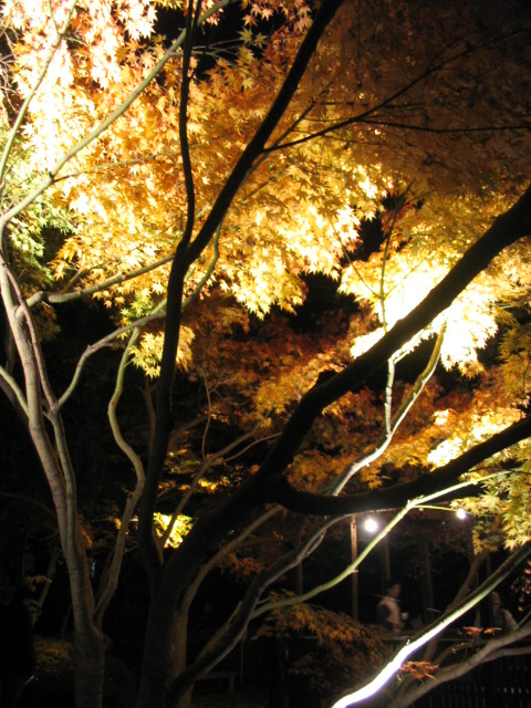 c0086230_21452879.jpg