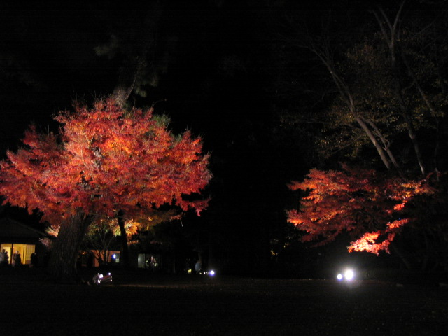 c0086230_2148396.jpg