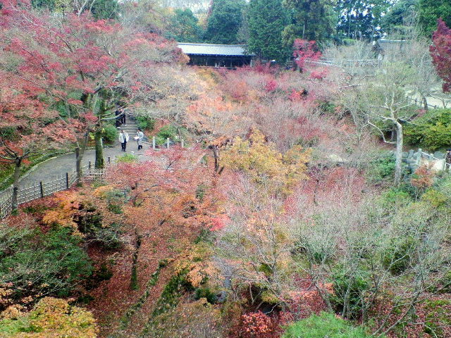 e0064133_2123650.jpg