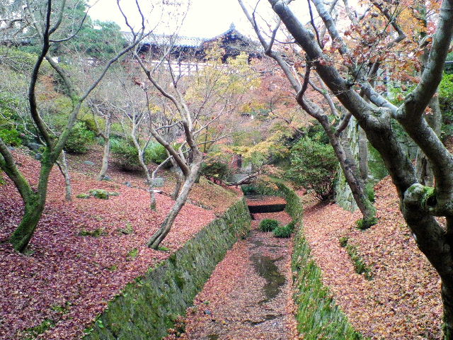 e0064133_219364.jpg