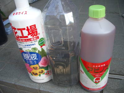 c0025140_1628481.jpg
