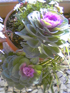e0067640_22203075.jpg