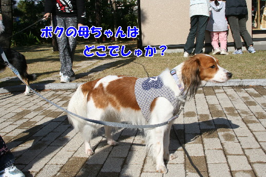 d0013149_23571828.jpg