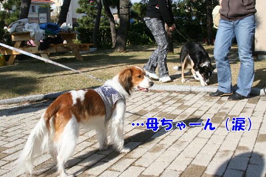 d0013149_23575141.jpg