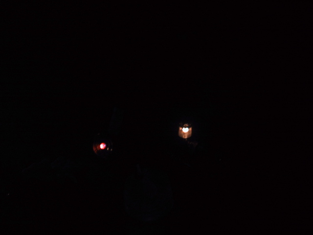 f0046250_2056842.jpg