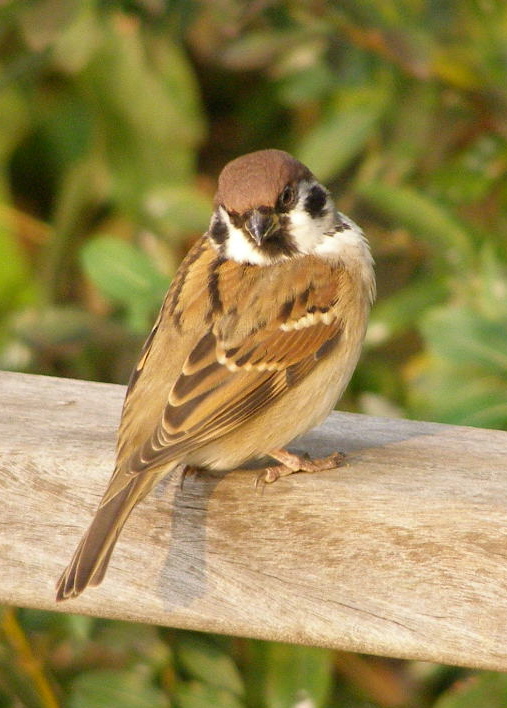 e0064158_1214055.jpg