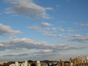 d0034659_16192553.jpg