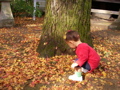a0048361_7411646.jpg