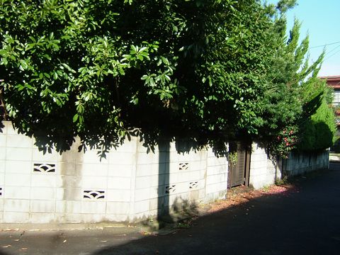 a0009666_13454546.jpg