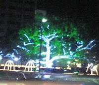 e0070074_22565723.jpg