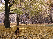 a0035678_23171254.jpg