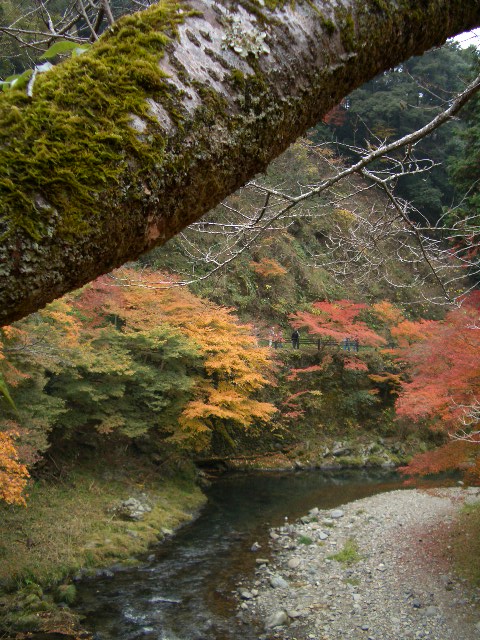 f0089079_6544060.jpg