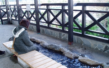 f0003283_18211744.jpg