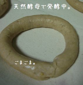 b0000885_2303080.jpg