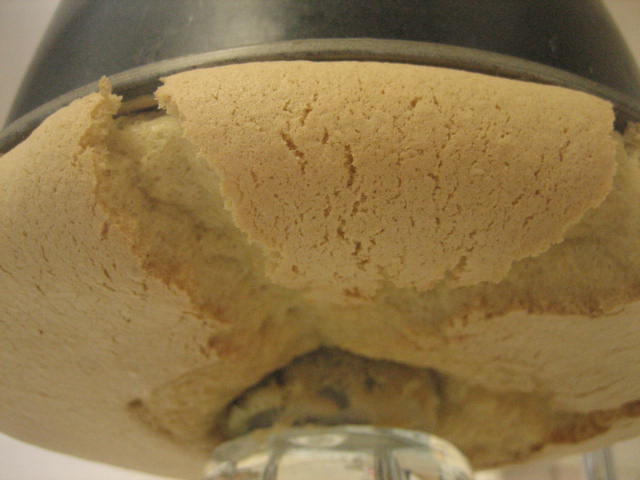 a0052486_22212054.jpg