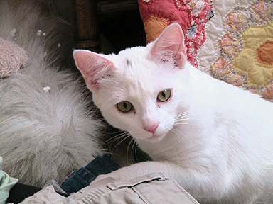 c0016987_10532520.jpg