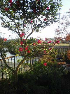 f0115787_16233563.jpg