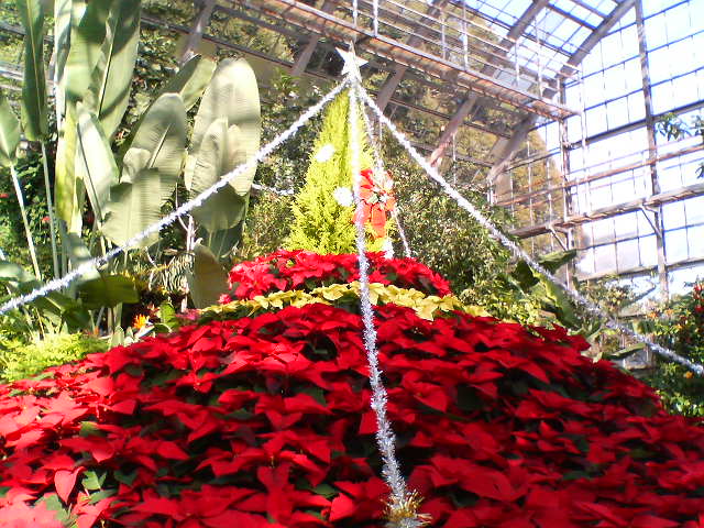 a0089790_16284510.jpg