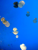 a0087691_23151189.jpg
