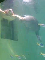 a0087691_23152667.jpg