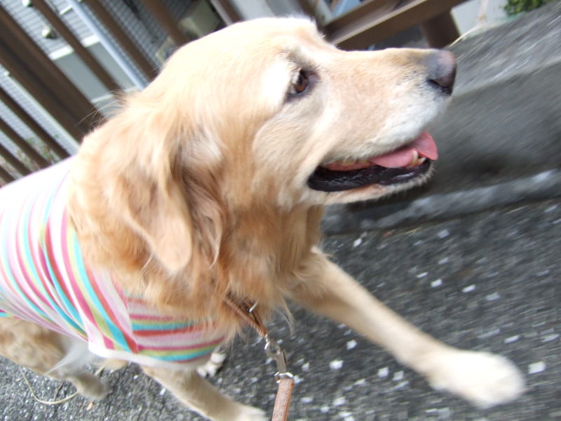 c0104492_21443583.jpg