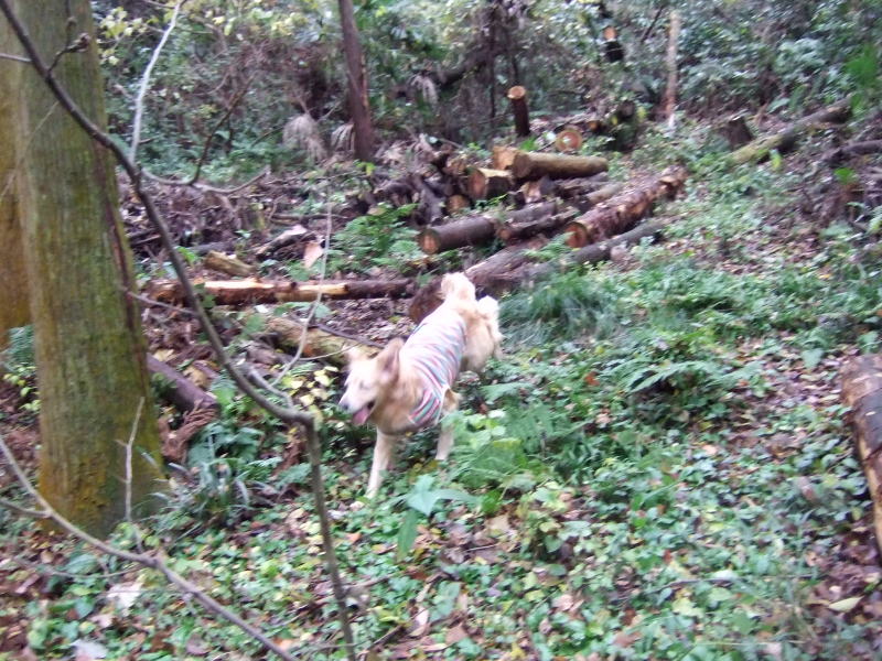 c0104492_21473629.jpg
