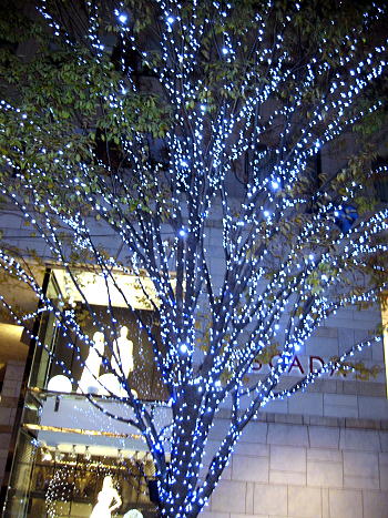 c0090198_1013952.jpg