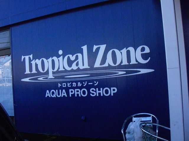 e0010301_16372335.jpg