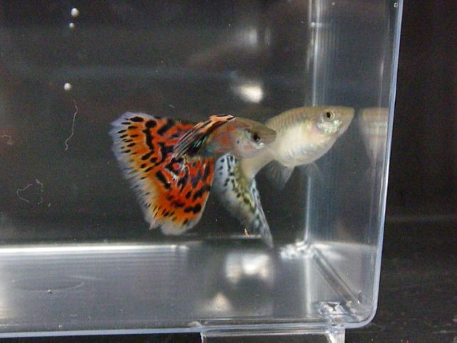 e0010301_16431647.jpg