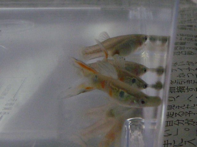 e0010301_16553615.jpg