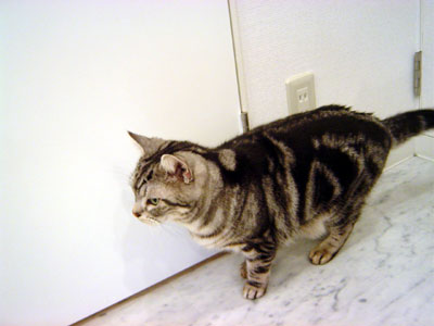 e0026704_3123126.jpg
