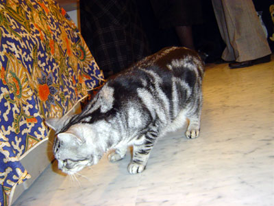 e0026704_316765.jpg