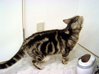 e0026704_385063.jpg