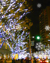 e0030112_11454753.jpg