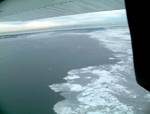 c0018716_2224960.jpg