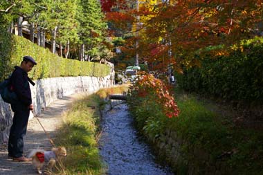 b0075318_2275390.jpg