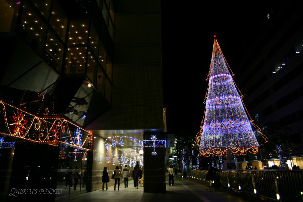 c0037519_21564345.jpg