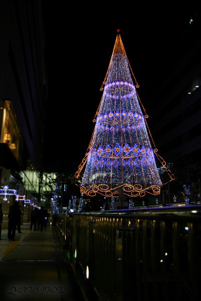 c0037519_22103554.jpg