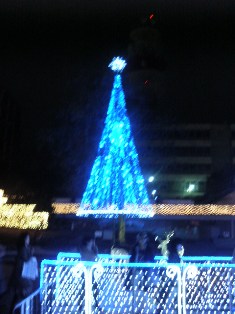 f0031420_1302186.jpg