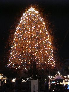 f0031420_133320.jpg